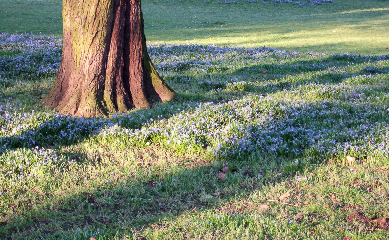 Frühling an der Promenade