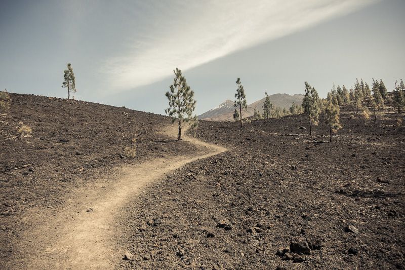 Wanderweg, Samara mit Teide