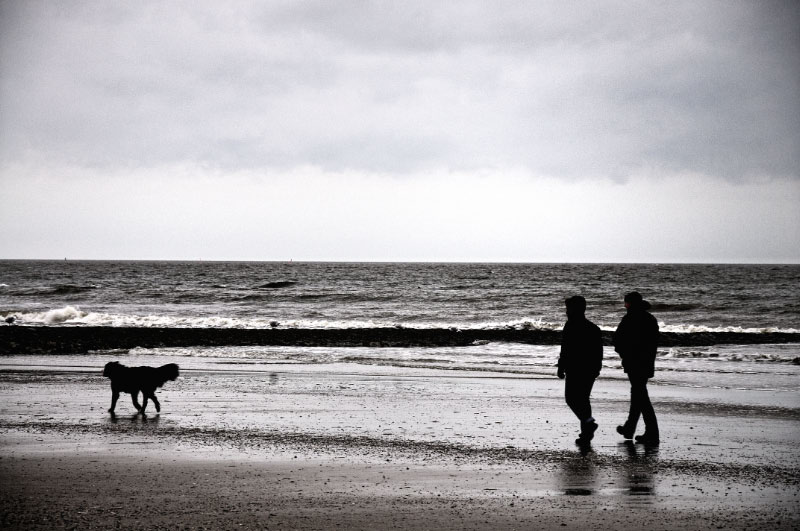 Norderney, Strand, Spaziergang, Paar, Hund, Gassi