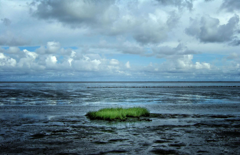 Sylt Wattenmeer