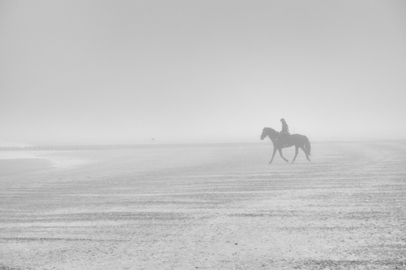 Pferd, Strand, Nebel, Reiter