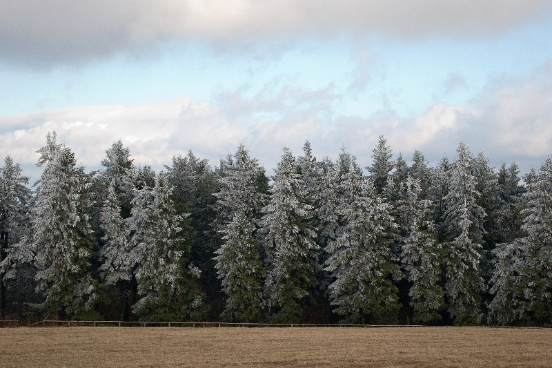 Rhön, Wasserkuppe