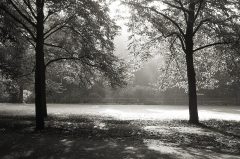 Der Herbst kommt …Münster, Promenade