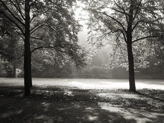 Der Herbst kommt …Münster, Promenade