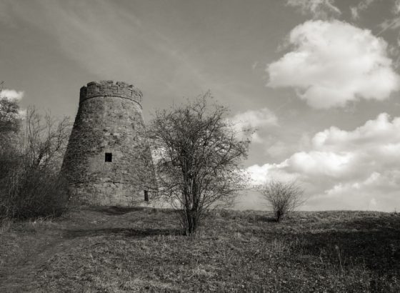 Barntrup, Windmühlenstumpf