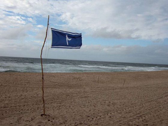 Sylt, Fahne im Wind