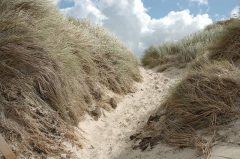 Inselwege, Weg durch die Dünen, Sand