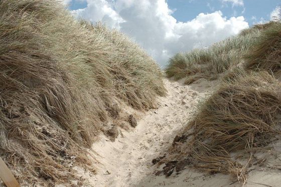 Inselwege, Weg durch die Dünen, Sand