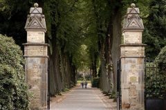 Herbstspaziergang, Zentralfriedhof Münster