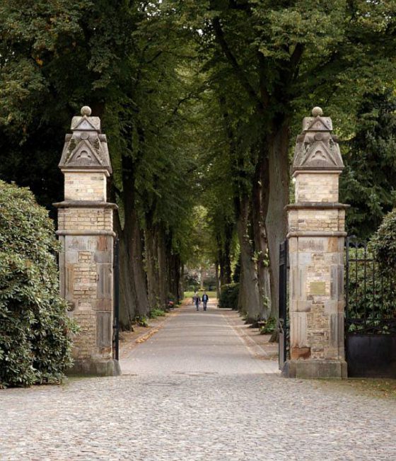 Herbstspaziergang, Zentralfriedhof Münster