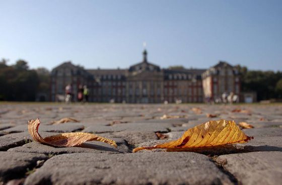 Herbstlaub vor dem Schloss in Münster