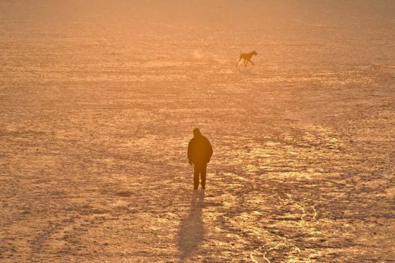 Eiskalt…… Mann mit Hund