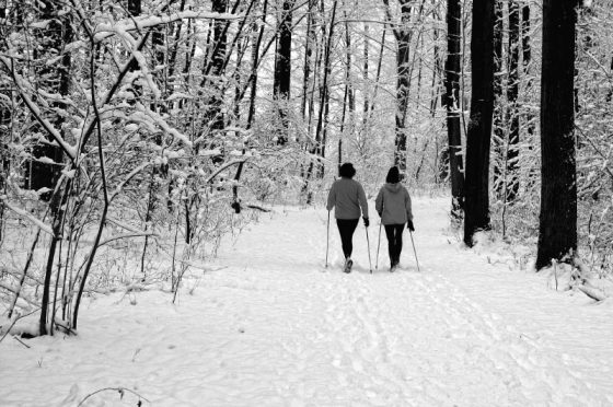 Nordic Walking im Winterwald