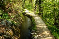 Waalweg bei Schenna, Südtirol