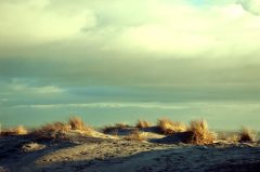 Borkum, abends in den Dünen