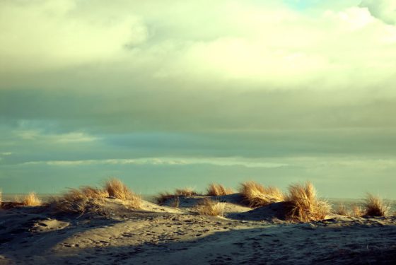 Borkum, abends in den Dünen