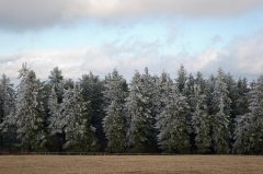 Wasserkuppe, Rhön, es wird kalt