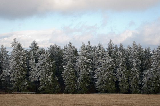 Wasserkuppe, Rhön, es wird kalt