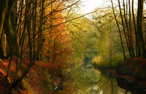 Münster Wolbeck, im Tiergarten