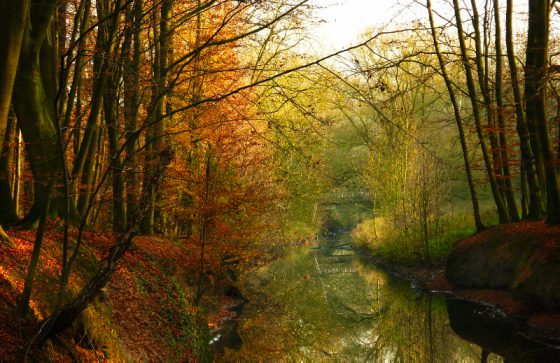 Münster Wolbeck, im Tiergarten