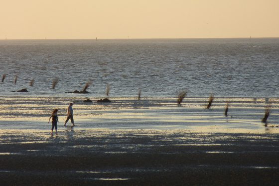 Abends am Strand