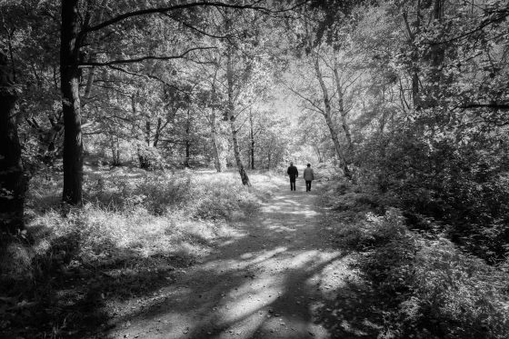 Spaziergang am Hiltruper See, Schwarzweiß