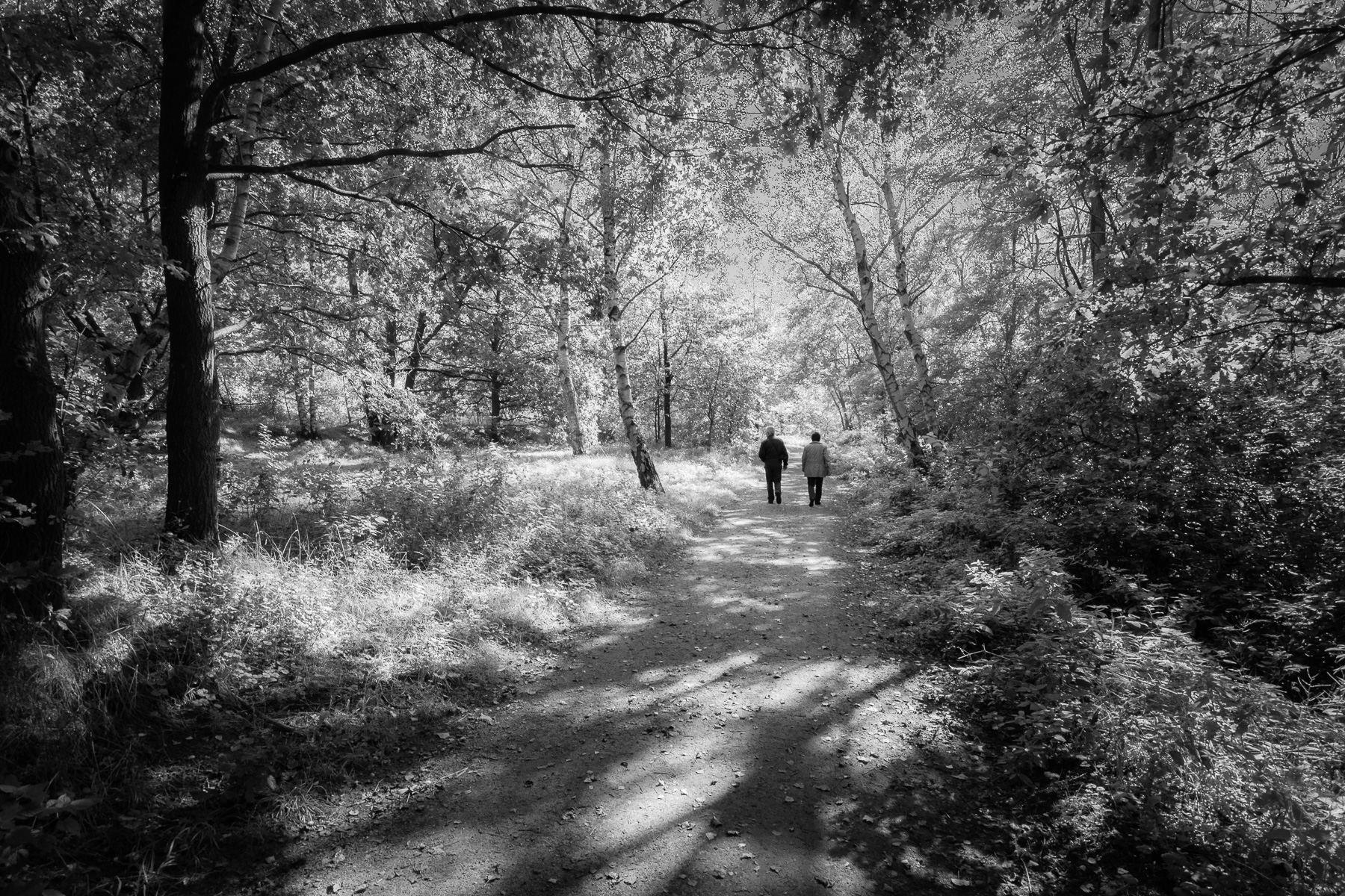 Paar im Wald, Schwarzweiß