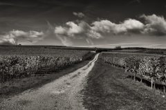 Way to the Sky, Feldweg