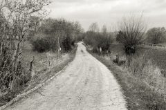 Barntrup, Feldweg