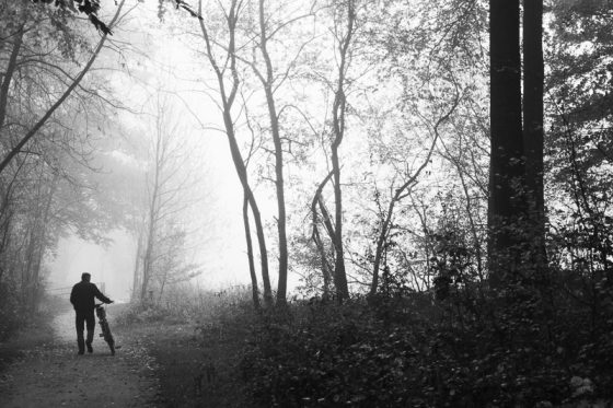 Ein Radfahrer schiebt sein Rad durch einen nebeligen Herbstwald
