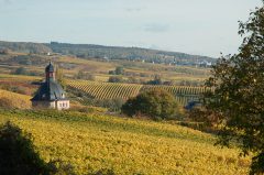 Urlaub im Rheingau, bei Rüdesheim im Herbst